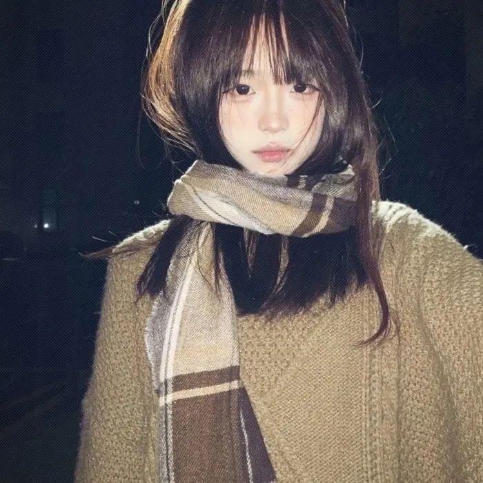 大象与小蝶物语