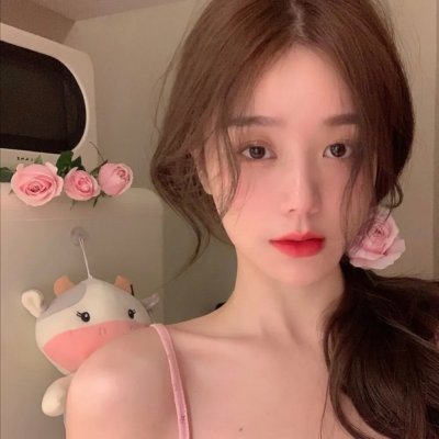 迁徙的鸟
